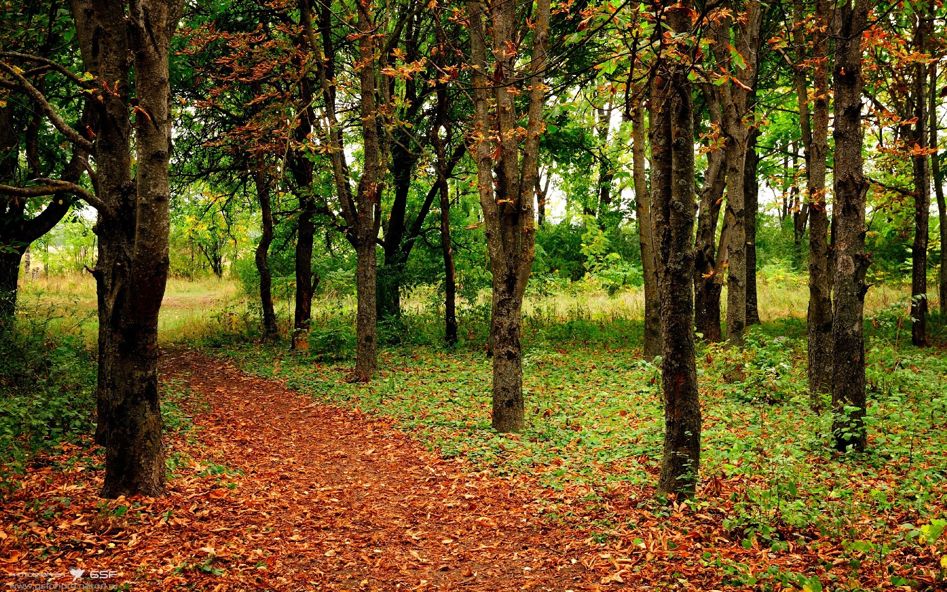 星空体育登录入口-女足世界杯球员健康管理，女足世界杯受伤