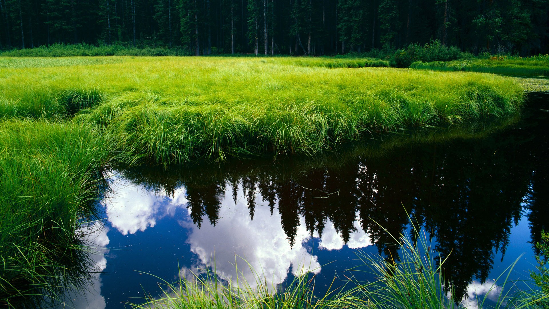 湖人队防守端表现出色，对手难以找到破解之法，2021湖人防守效率排行