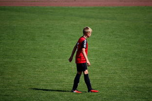 星空体育中国-NBA球员高原训练对平原比赛状态的影响，平原运动员进行高原训练原因