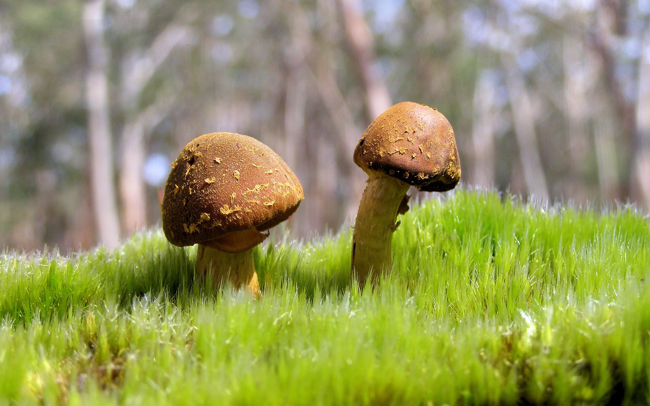 体育场馆设施智能化升级,体育场馆设施智能化升级方案