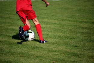 星空官网-篮球运动员心理韧性提升及干预体系建设，篮球运动员的心理训练