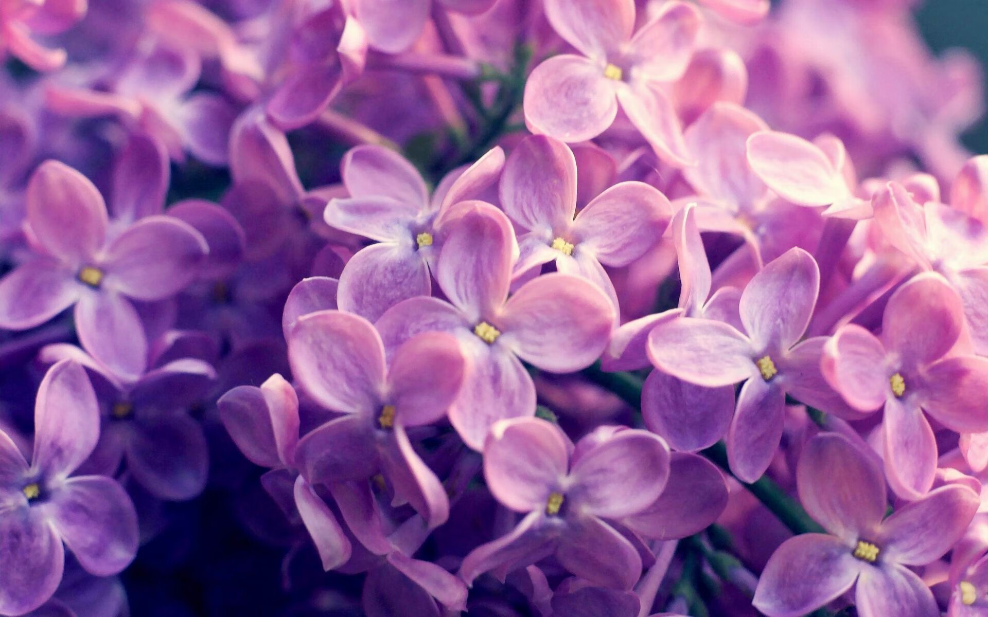 星空官网-CBA赛季赛事精彩纷呈，cba赛季表