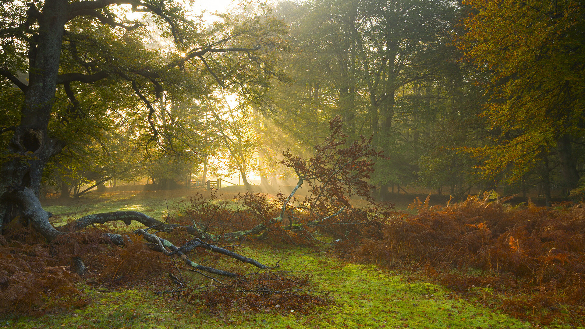 星空体育娱乐-克洛普不断革新战术，带队冲击更高荣誉