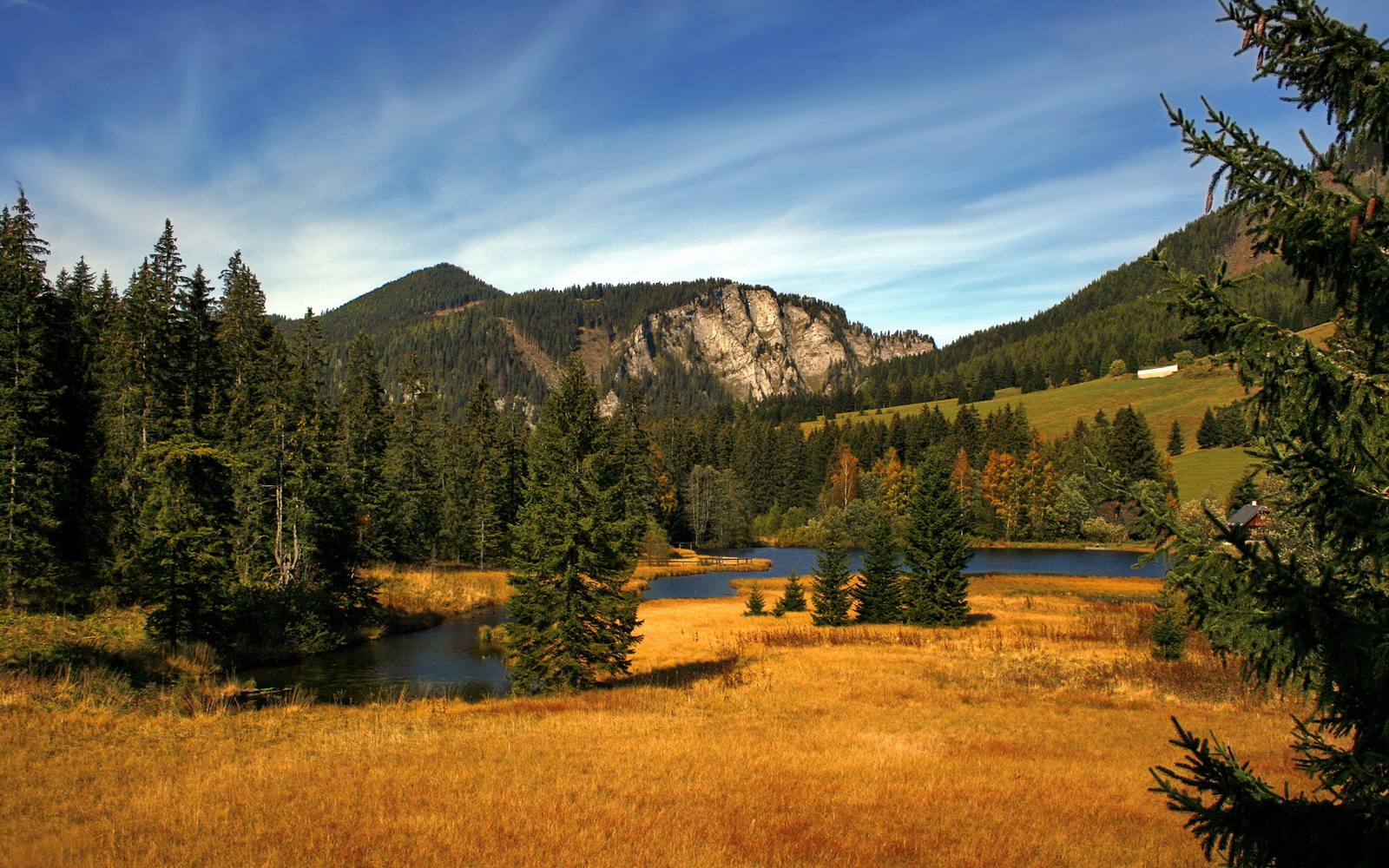 星空娱乐-阿曼男篮在西亚锦标赛中突破自我，期待更高成就